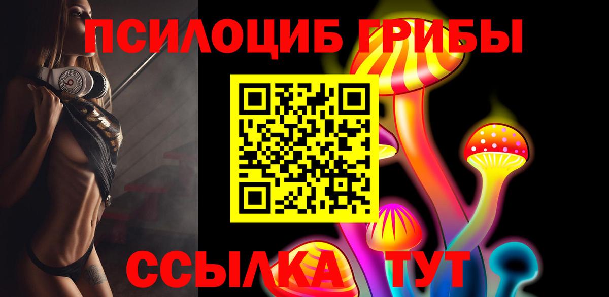 Псилоцибиновые грибы GOLDEN TEACHER Сатка