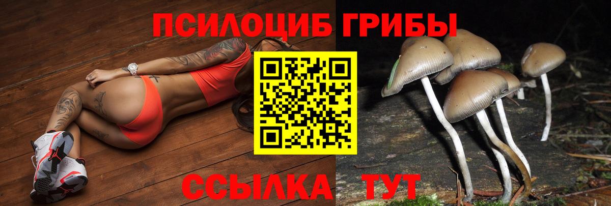 Псилоцибиновые грибы MAGIC MUSHROOMS  Вход с VPN  Сатка  Галлюциногенные грибы прущие грибы 